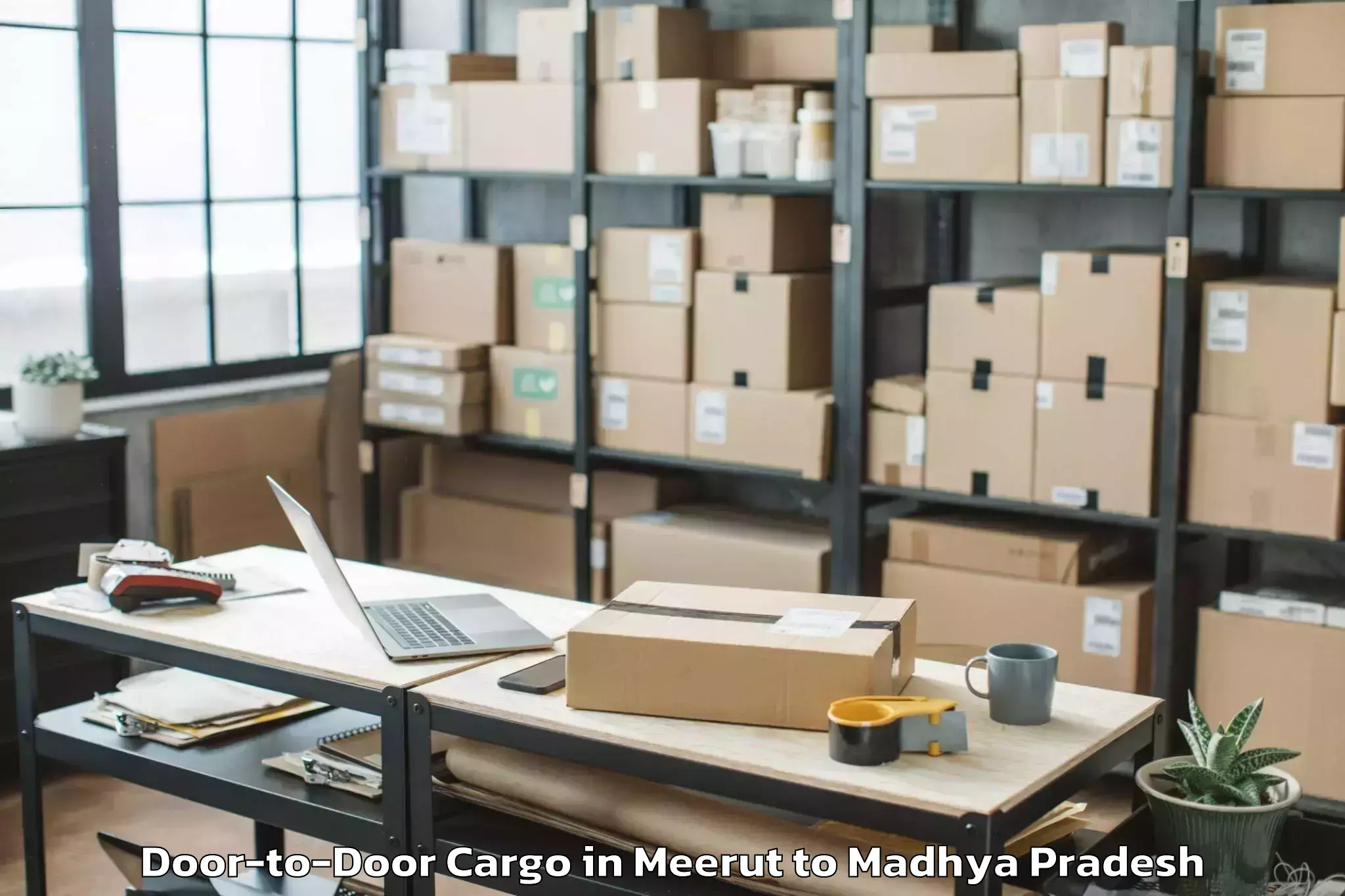 Book Your Meerut to Shujalpur Door To Door Cargo Today